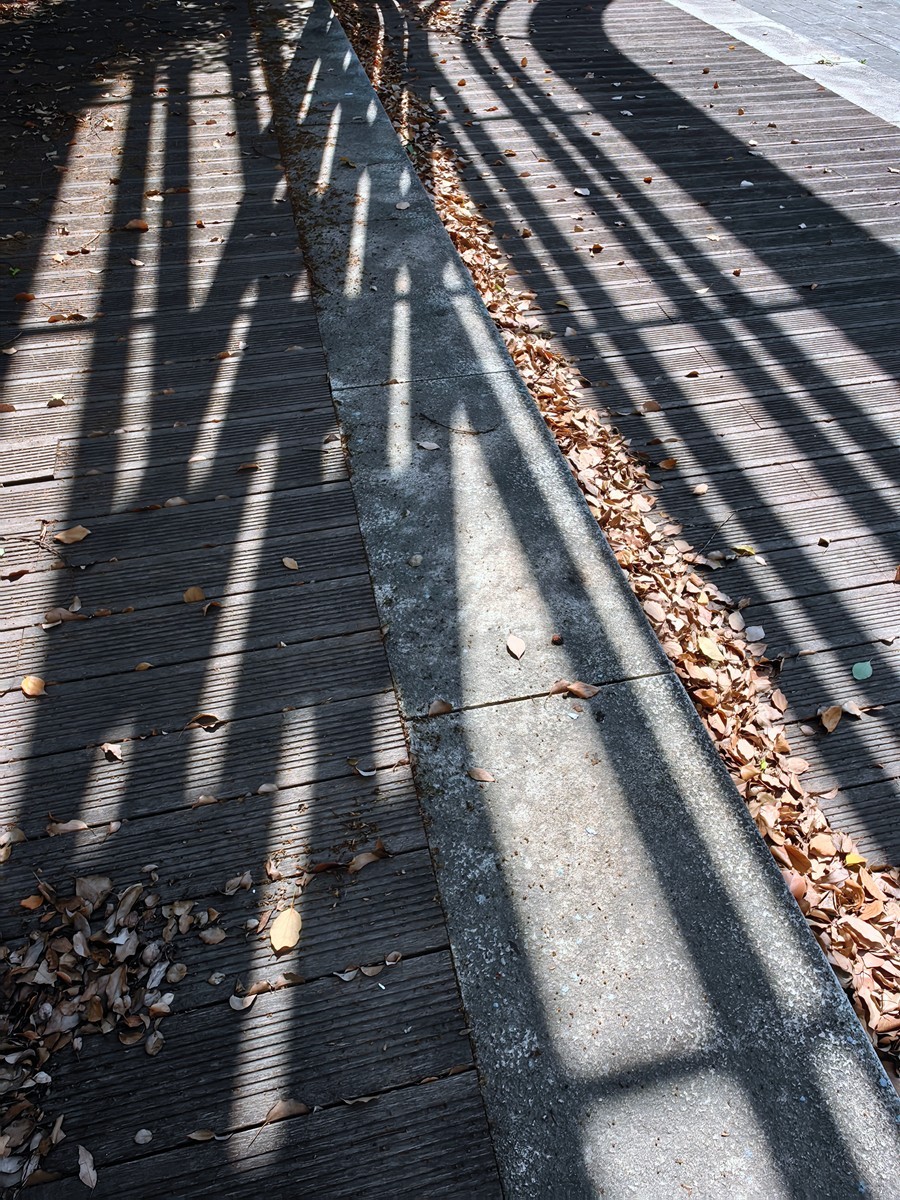 春日随拍之十五