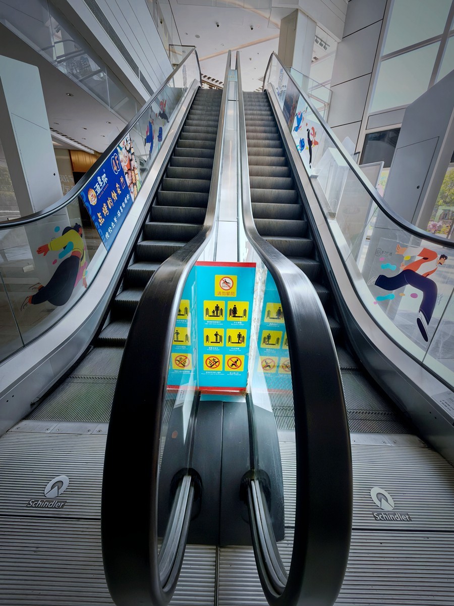 春日随拍之十五