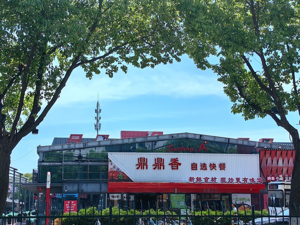 春日随拍之十五