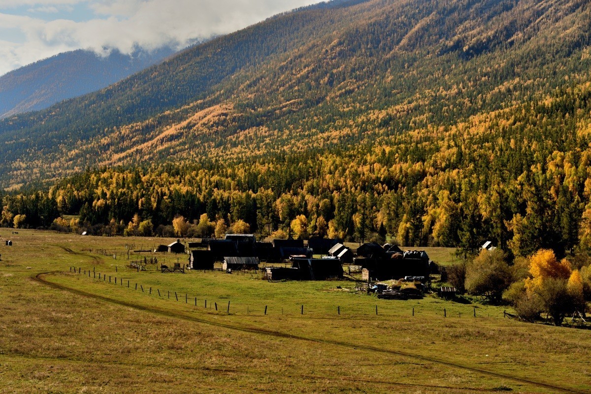 #留住美丽秋天# ——金色喀纳斯【1】