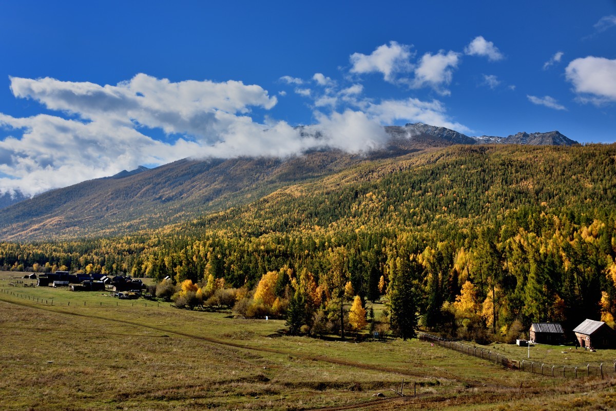 #留住美丽秋天# ——金色喀纳斯【1】