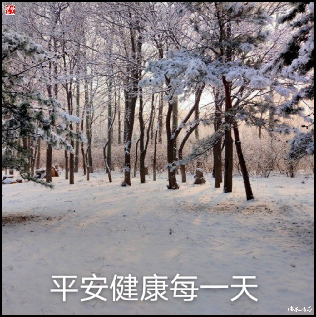 【每日一图，天天问候】风光篇6.岁暮天寒，风号雪舞-中关村在线摄影论坛