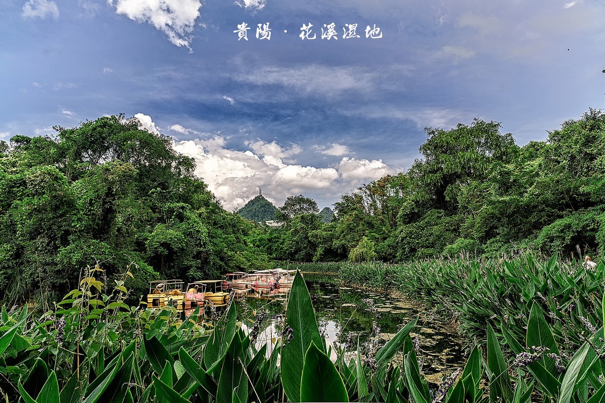 贵阳 · 花溪湿地