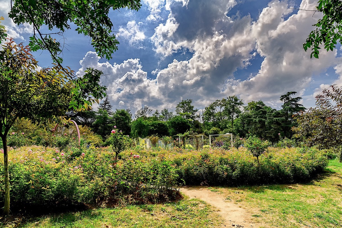 贵阳 · 花溪湿地