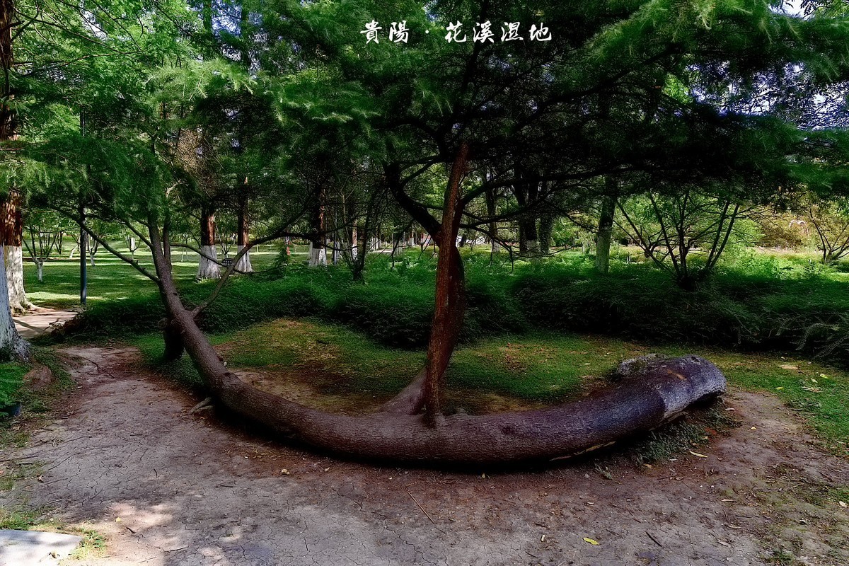 贵阳 · 花溪湿地