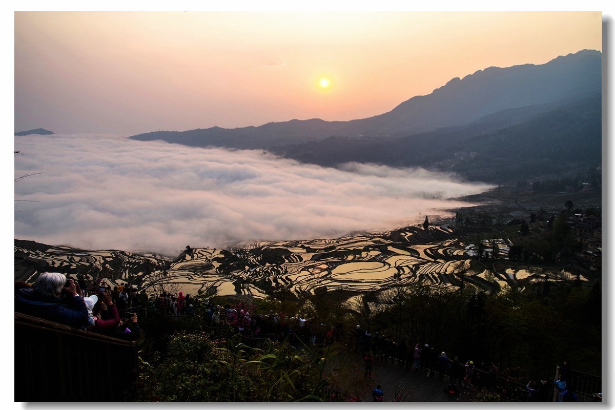 云南之旅——元阳多依树梯田