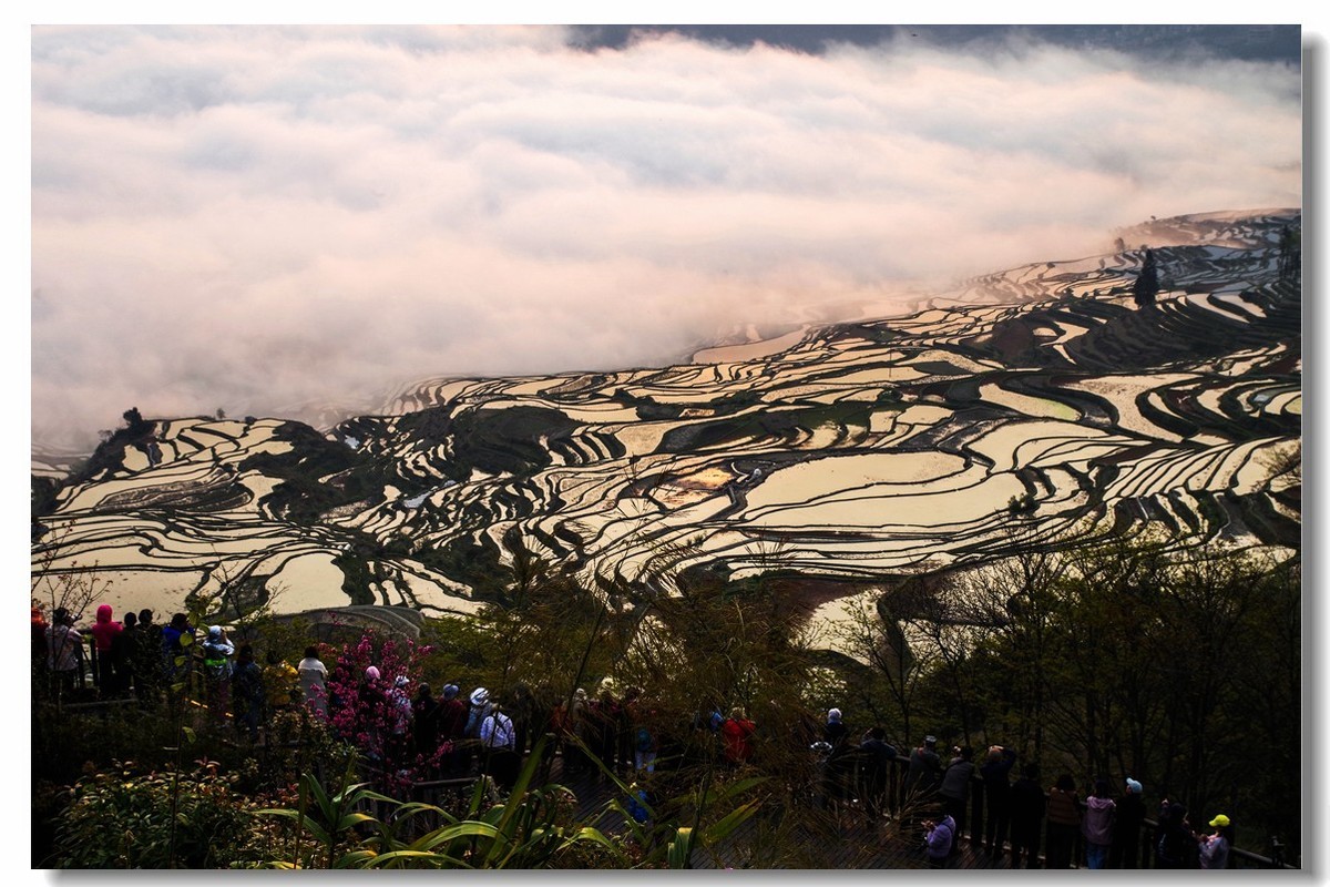 云南之旅——元阳多依树梯田