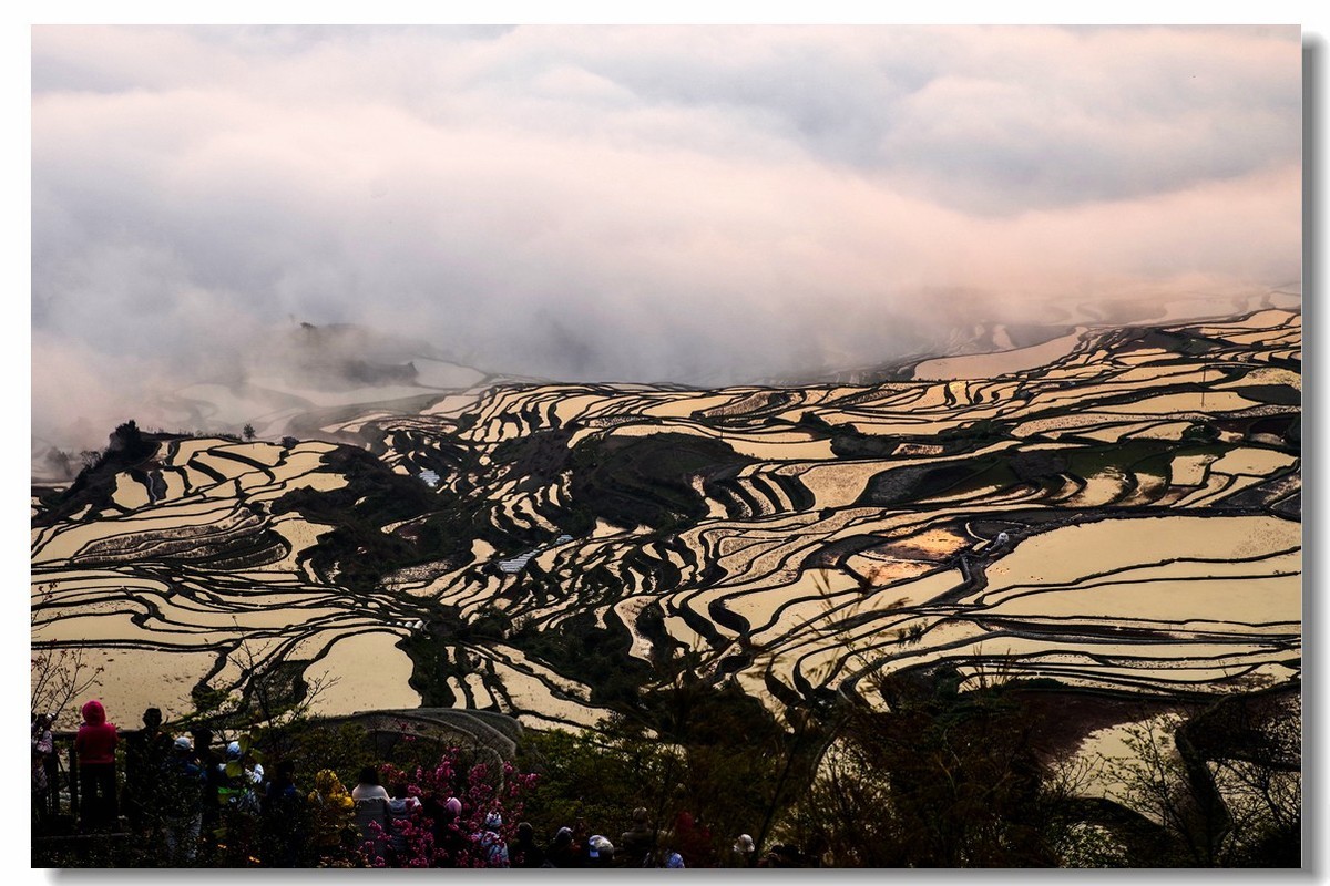 云南之旅——元阳多依树梯田