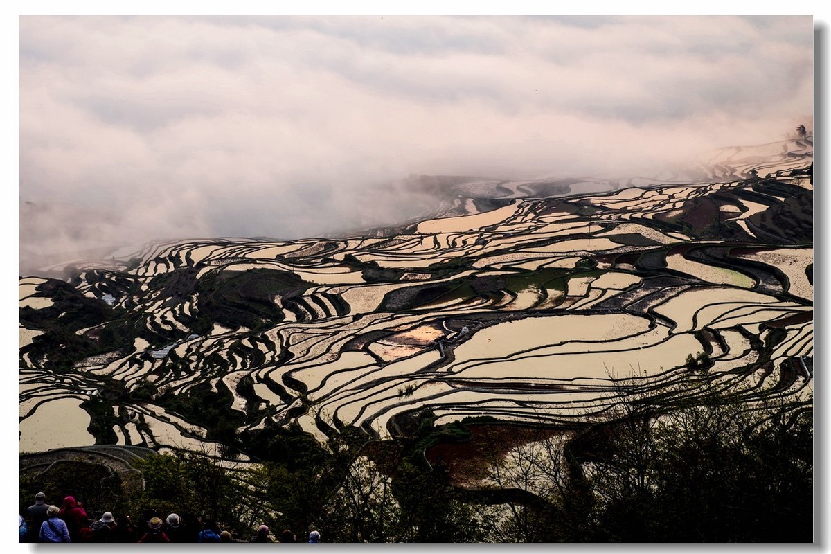 云南之旅——元阳多依树梯田