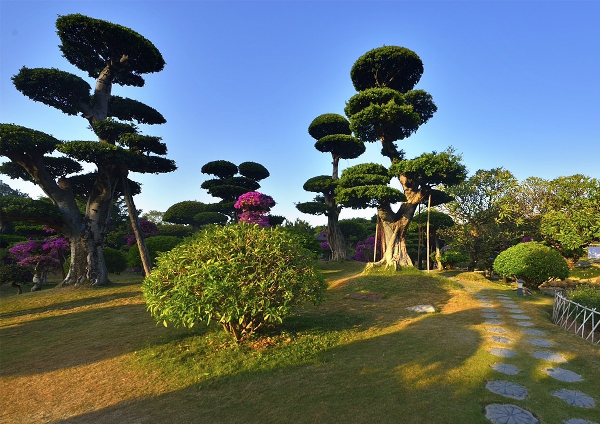 南宁南湖公园名树博览园