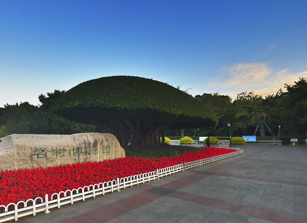 南宁南湖公园名树博览园