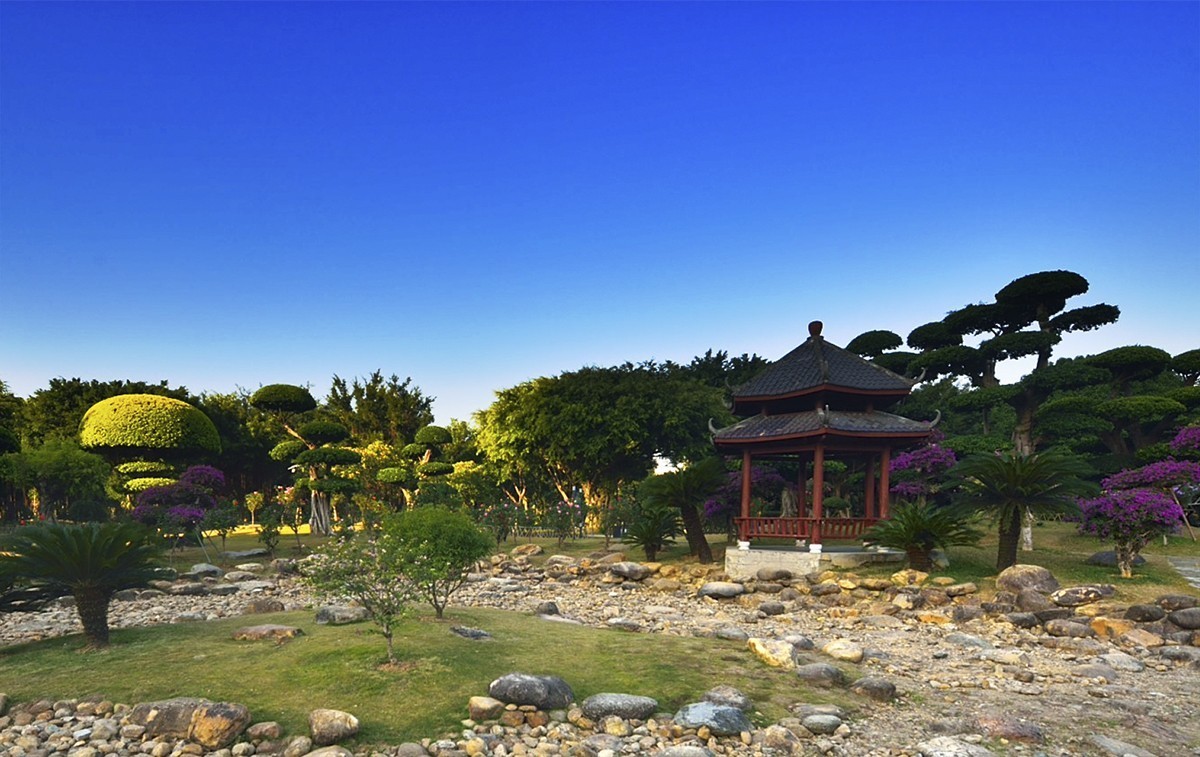 南宁南湖公园名树博览园