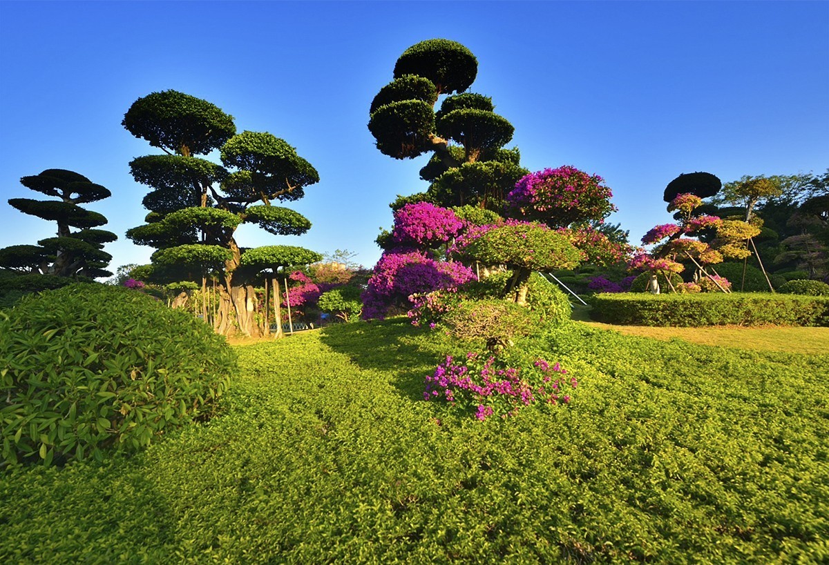 南宁南湖公园名树博览园