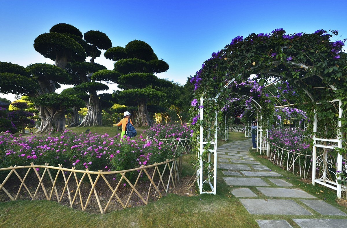 南宁南湖公园名树博览园