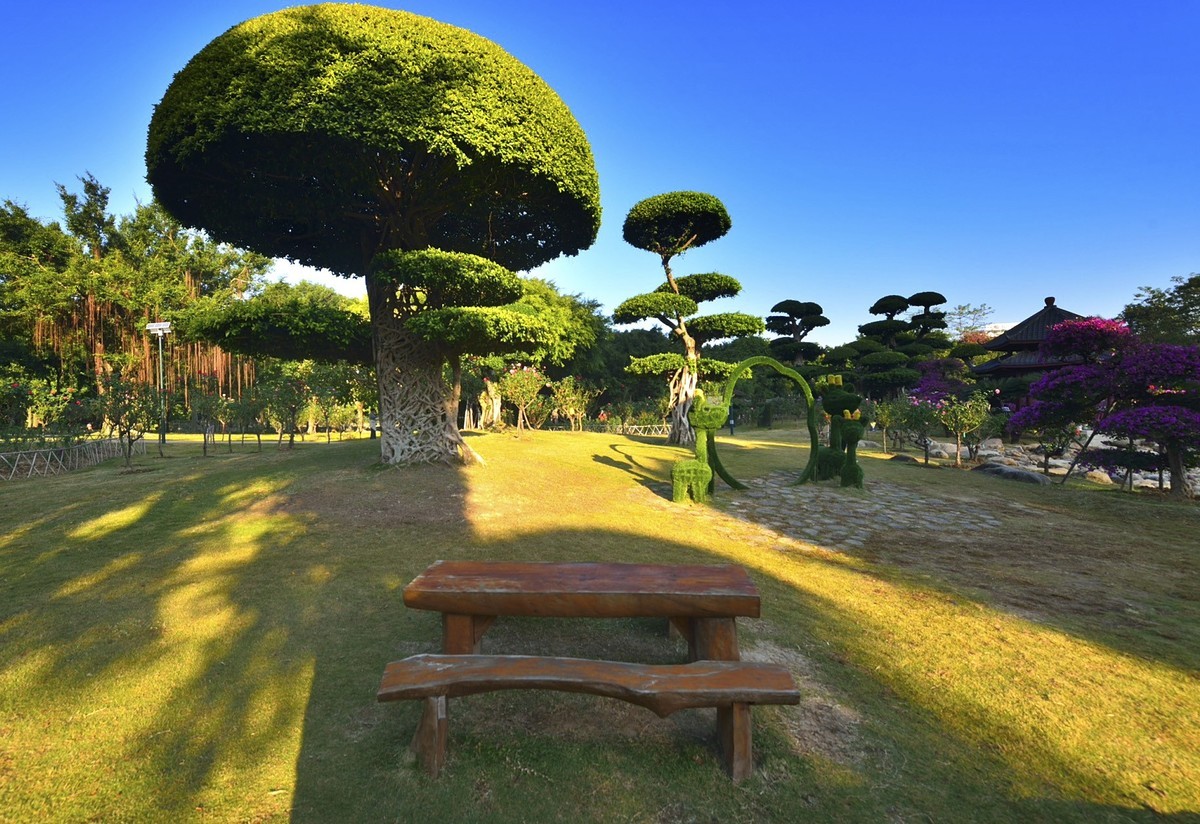 南宁南湖公园名树博览园