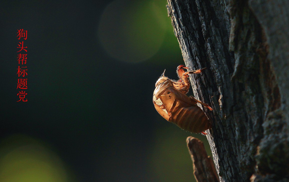 24年9-12月精华展示贴