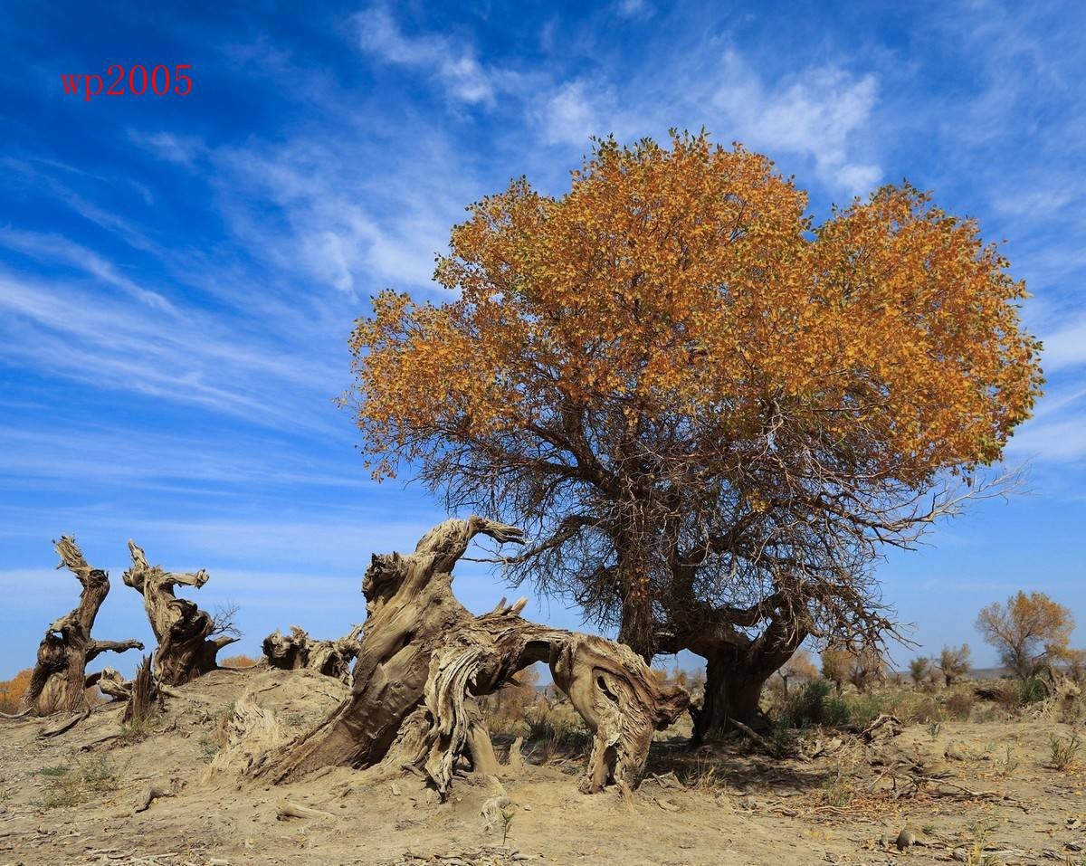 24年9-12月精华展示贴