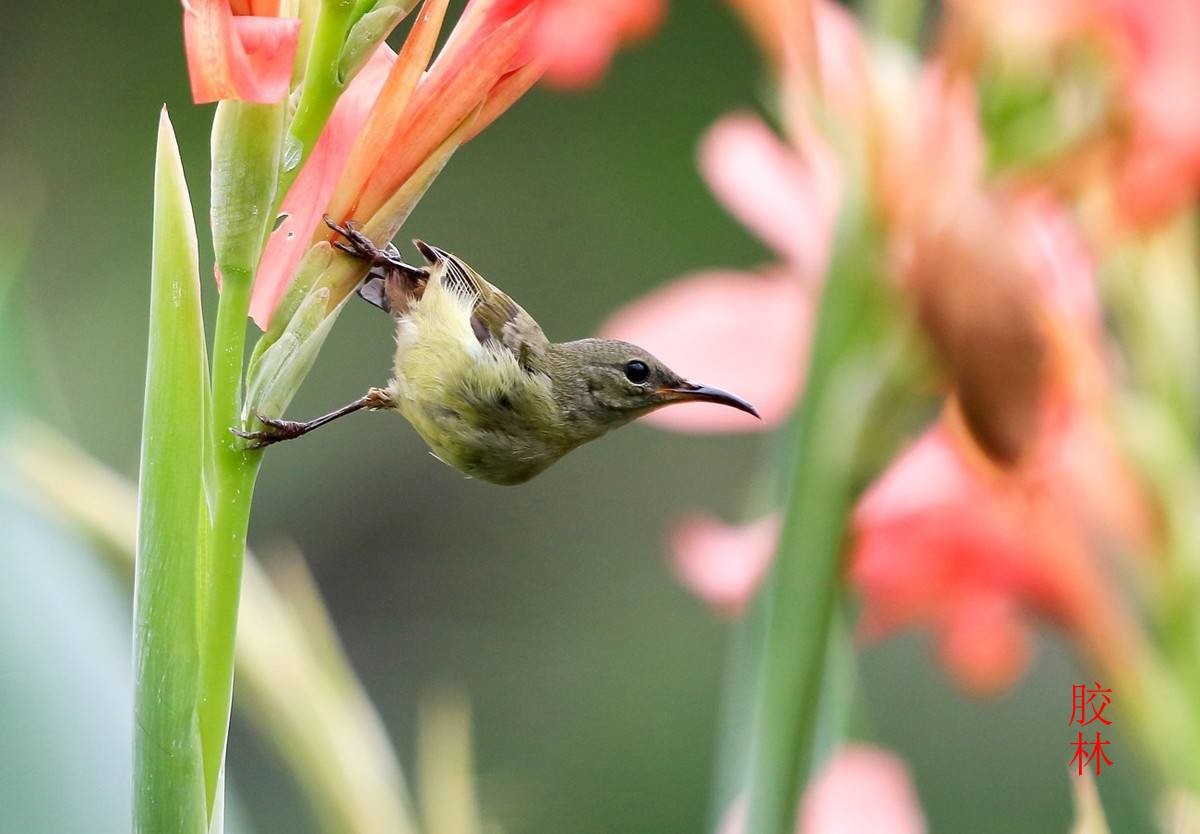 24年9-12月精华展示贴