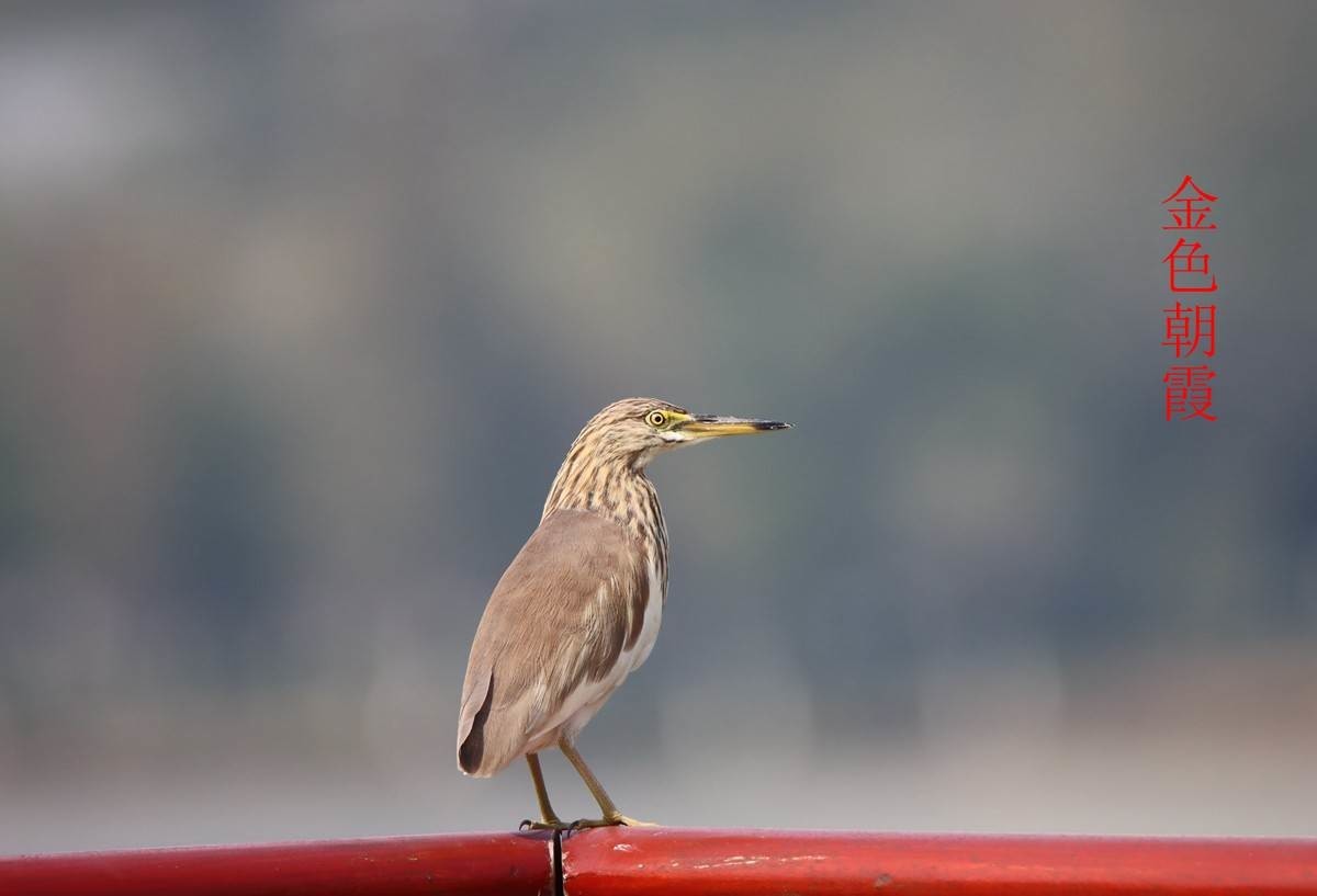 24年9-12月精华展示贴