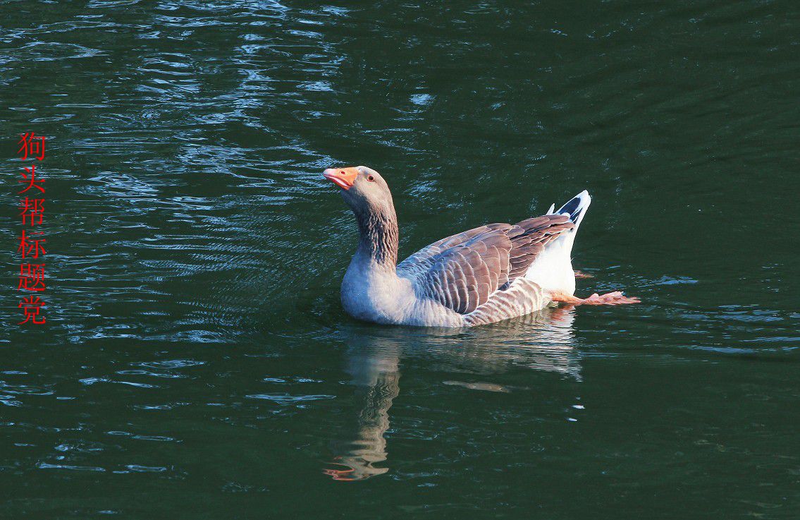 24年9-12月精华展示贴