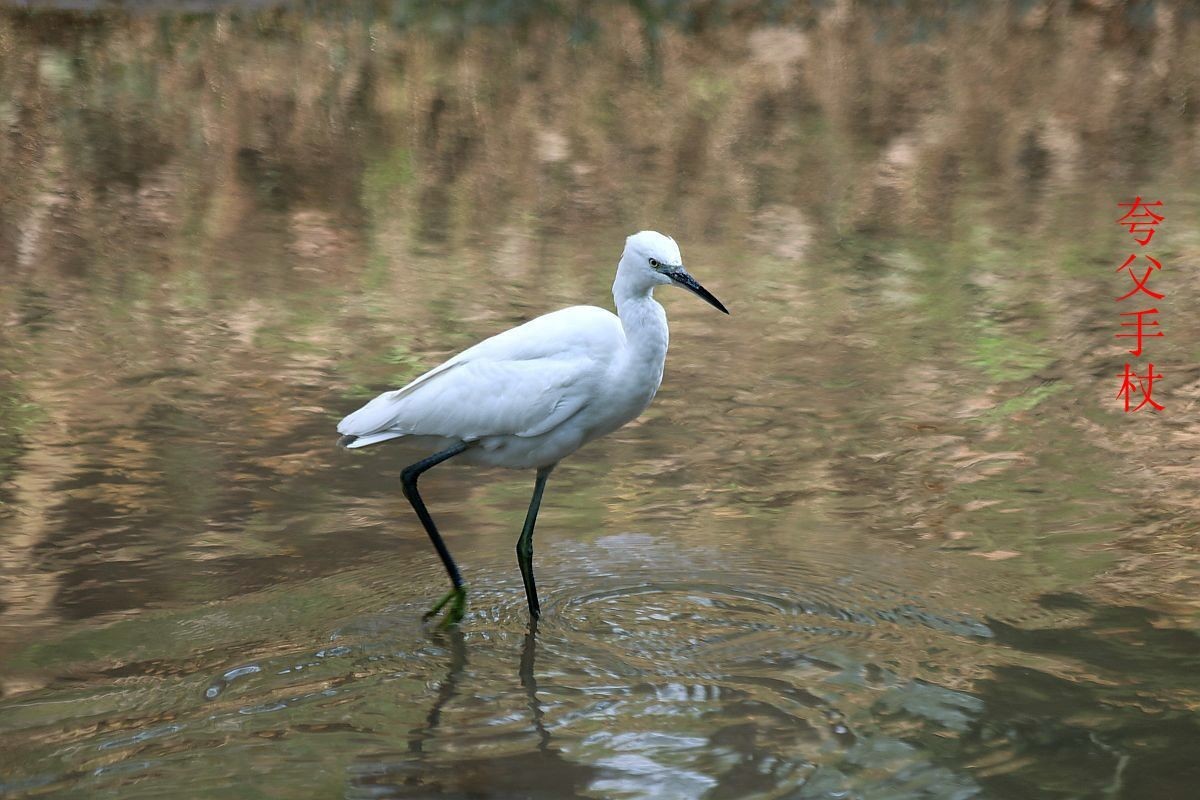 24年9-12月精华展示贴