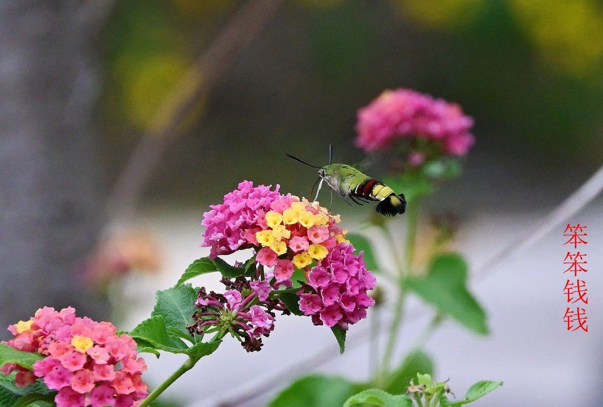 24年9-12月精华展示贴