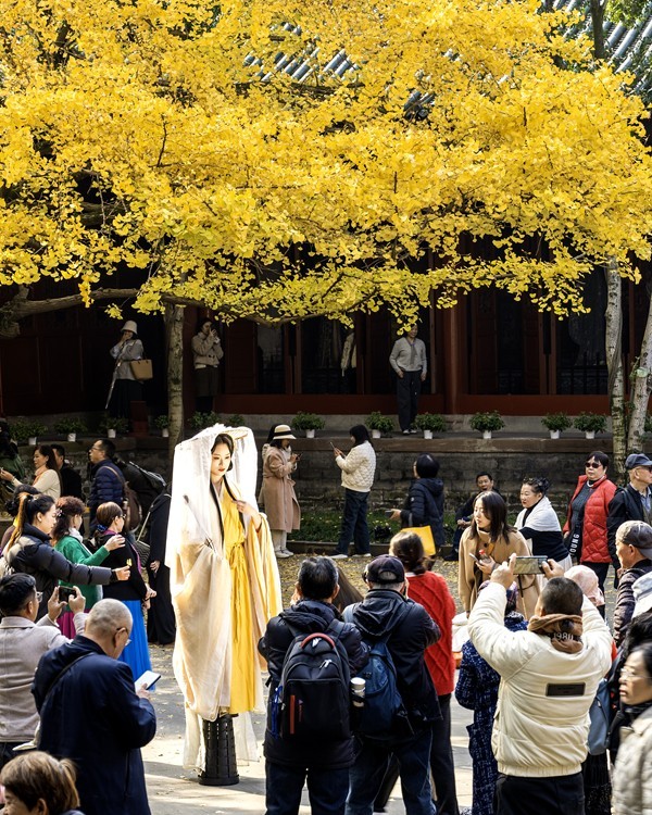 四川成都--崇州--罨画池秋色【13】祝版主和各位师友新年快乐!身体健康！