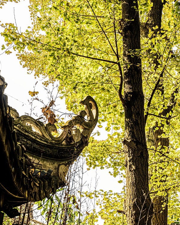 四川成都--崇州--罨画池秋色【13】祝版主和各位师友新年快乐!身体健康！