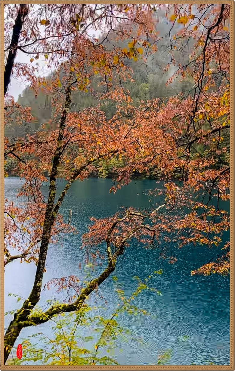 2022年九寨沟云拍-54