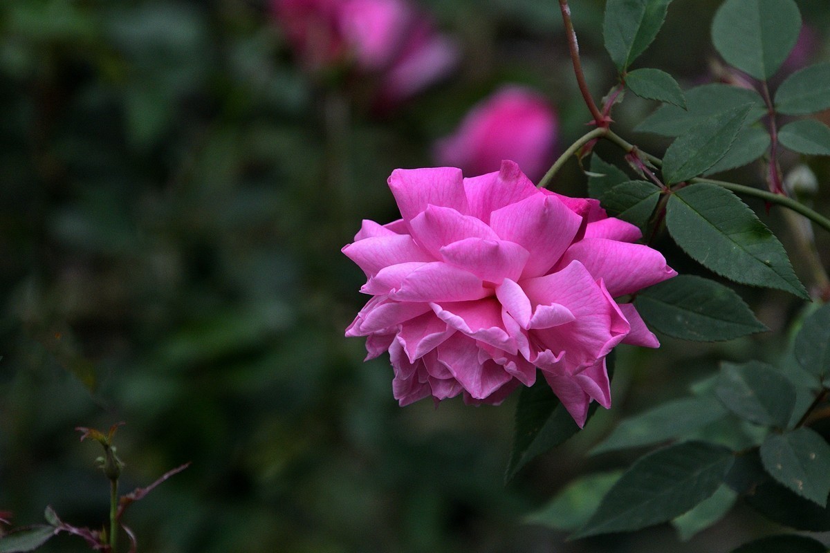 #版主坐堂# 小五星空(中国)2023年2月精品荟萃