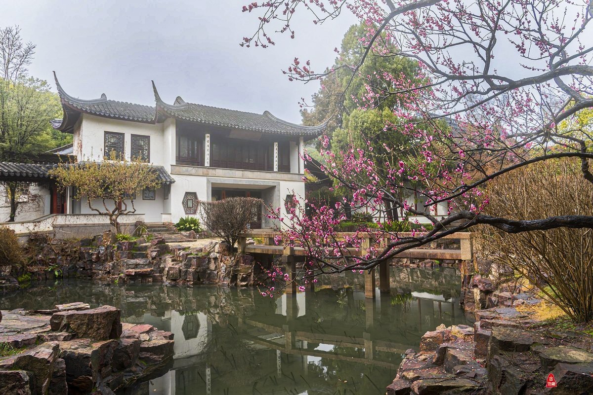 #版主坐堂# 小五星空(中国)2023年2月精品荟萃