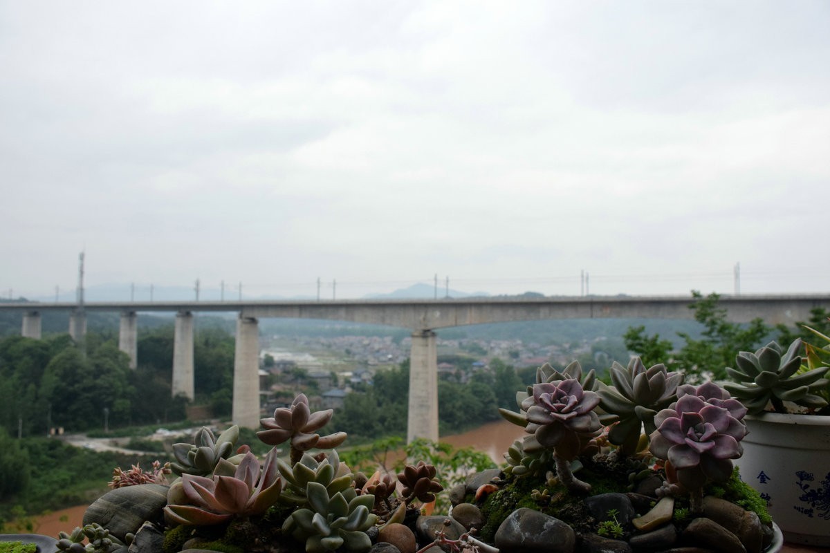 2023夏  黔赣鄂渝川（1）舞水源头