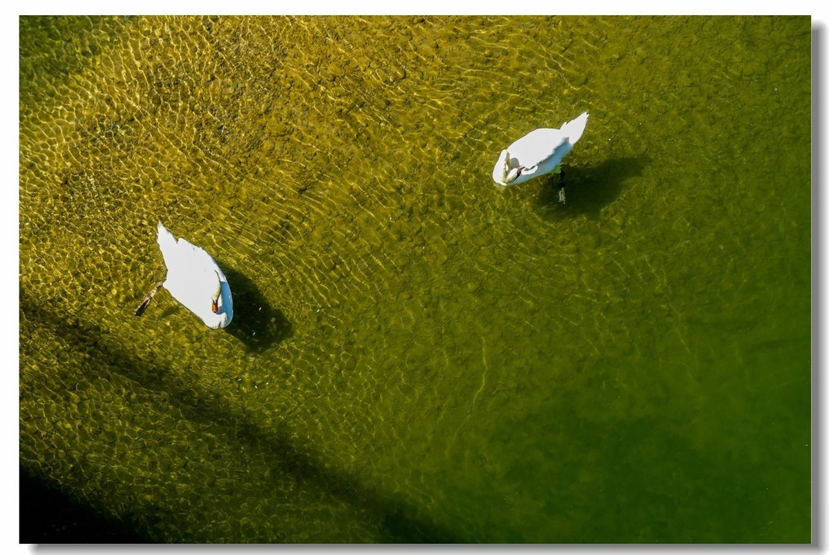 摄鸟（请假篇）：请假一个月，敬请大版们关注支持本星空(中国)！！！