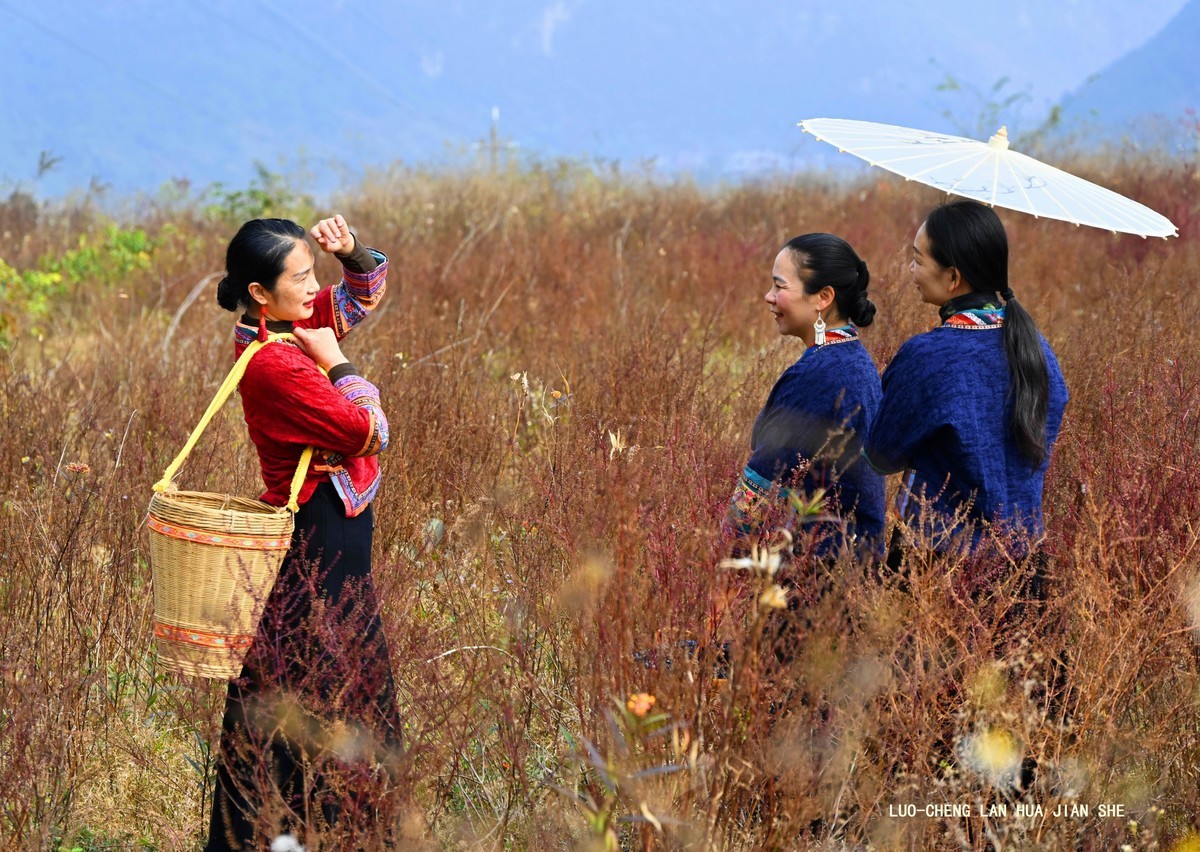 地卖粉黛园采风 1