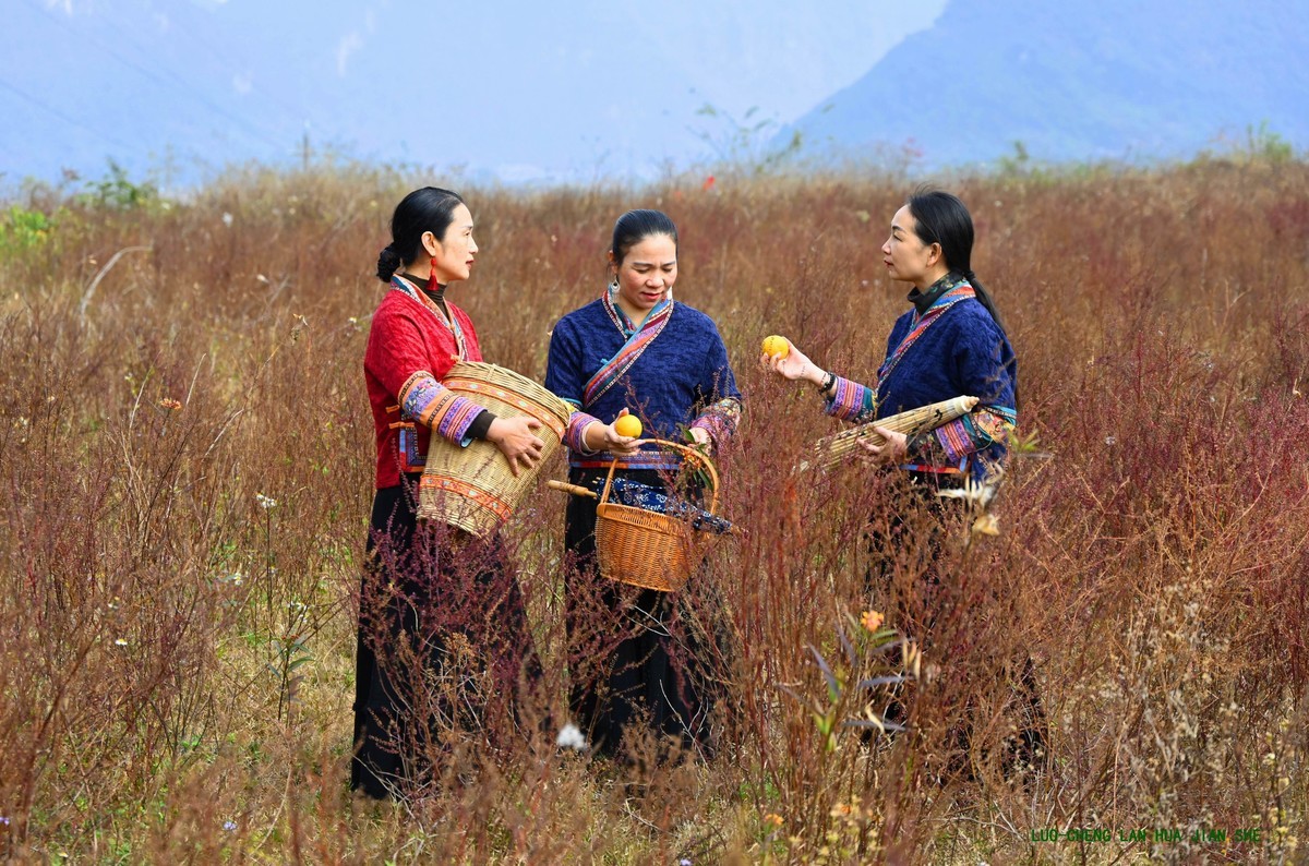 地卖粉黛园采风 1