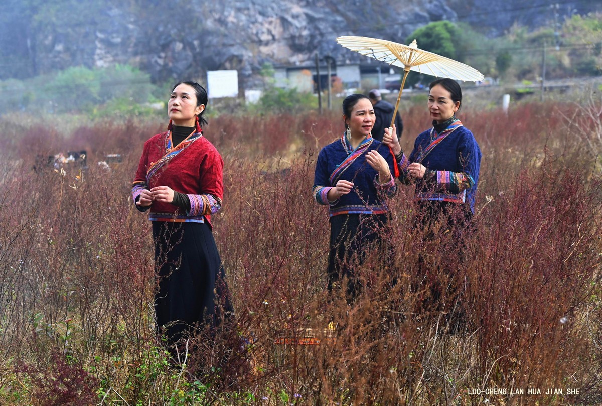 地卖粉黛园采风 2