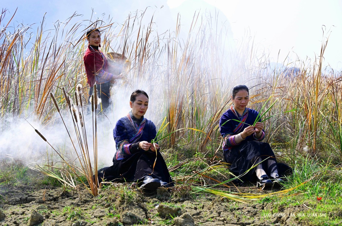 地卖粉黛园采风 2