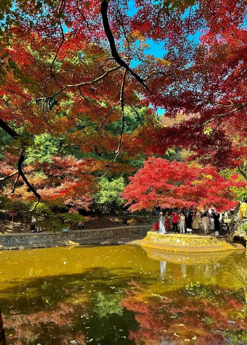 烈士公园最美的初冬