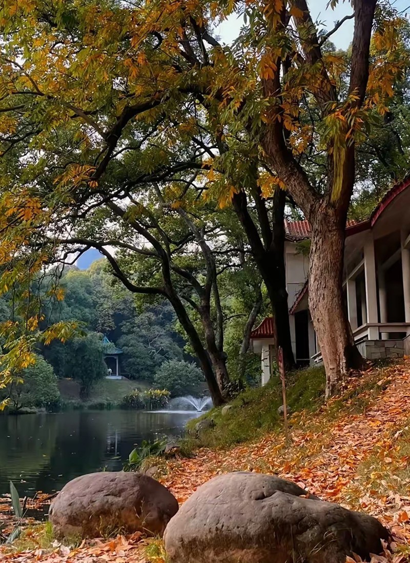 烈士公园最美的初冬