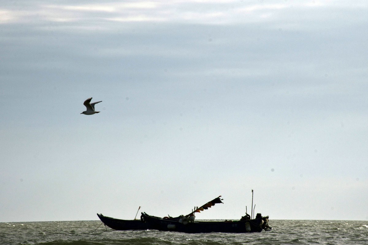 2025春节 广东行（57）金厢滨海旅游区