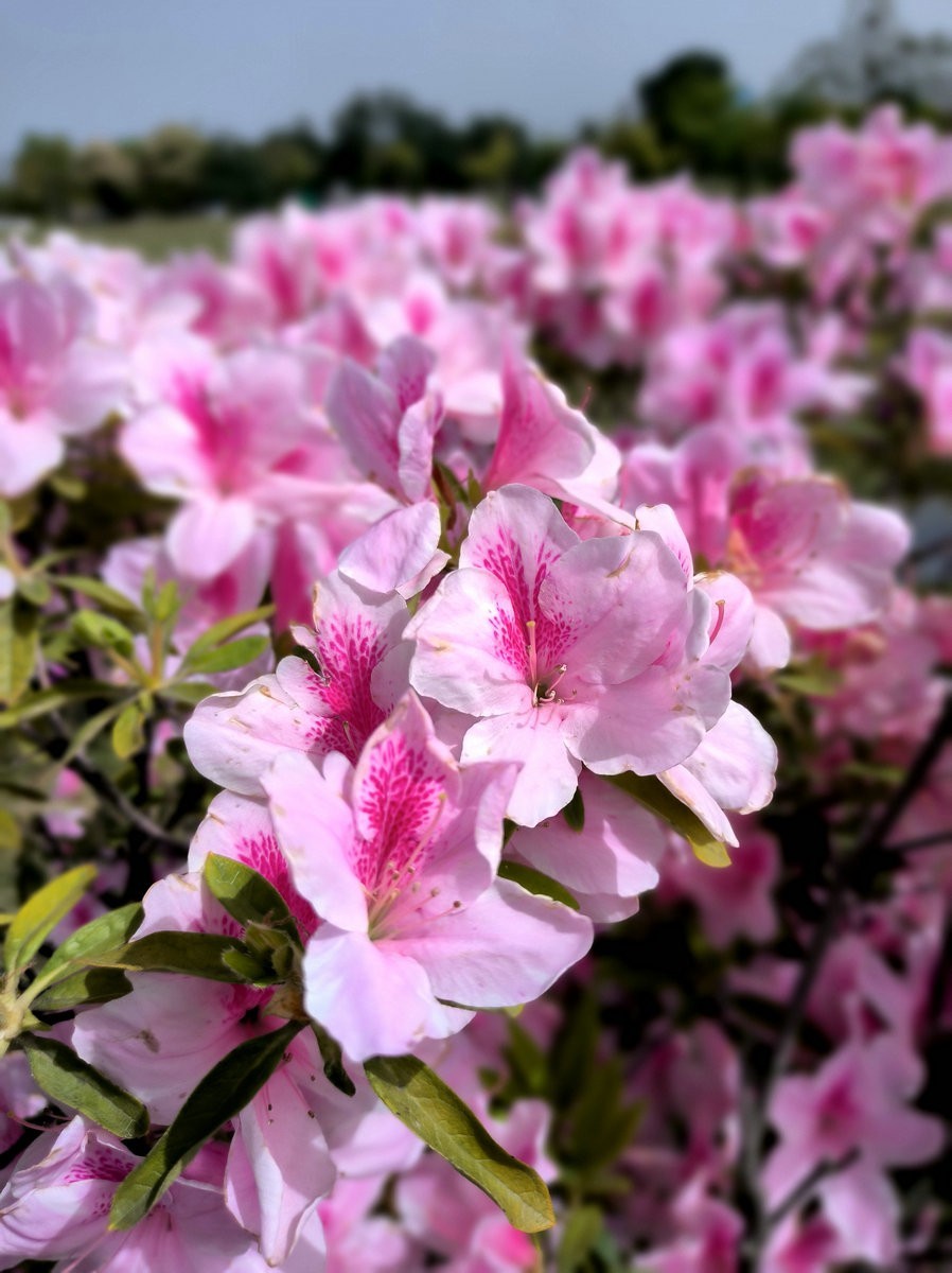 2025春夏之季 湘赣边（5）今日“中国锰都”