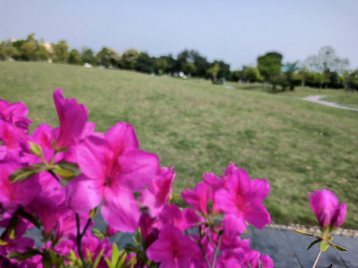 2025春夏之季 湘赣边（5）今日“中国锰都”