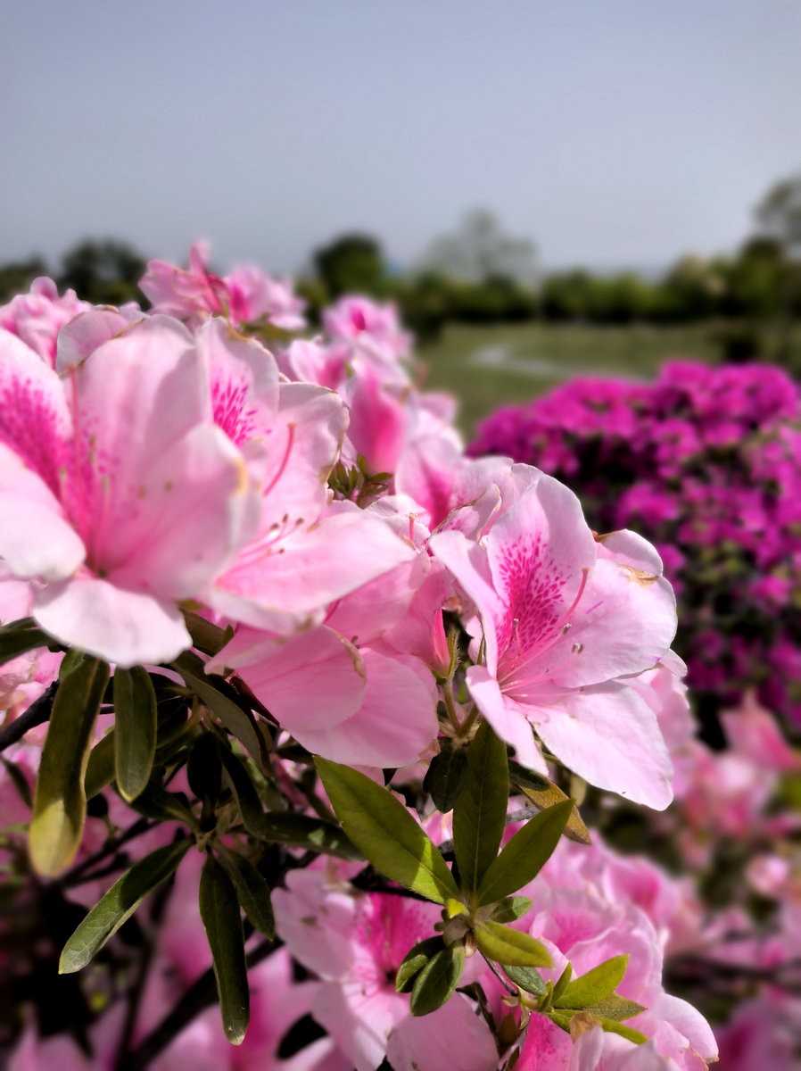 2025春夏之季 湘赣边（5）今日“中国锰都”