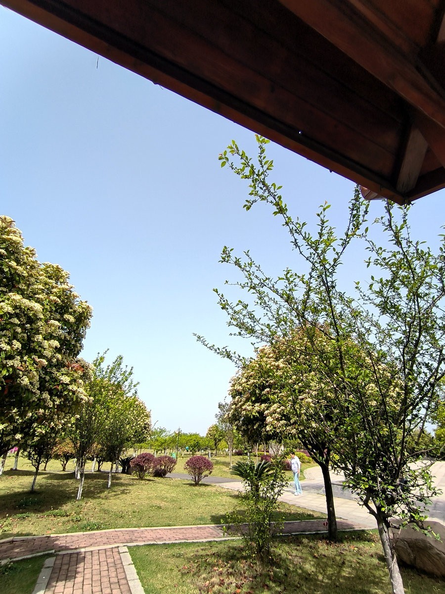 2025春夏之季 湘赣边（5）今日“中国锰都”