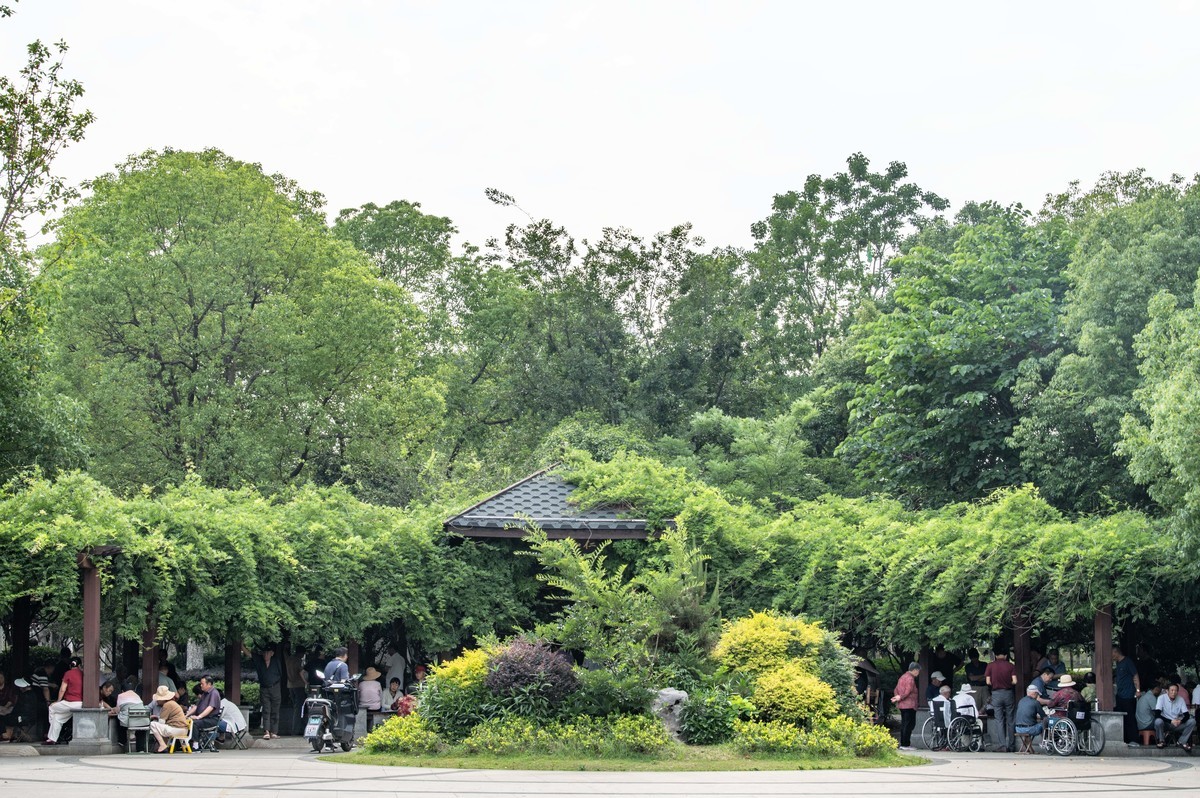 庐州印象（473）海棠公园