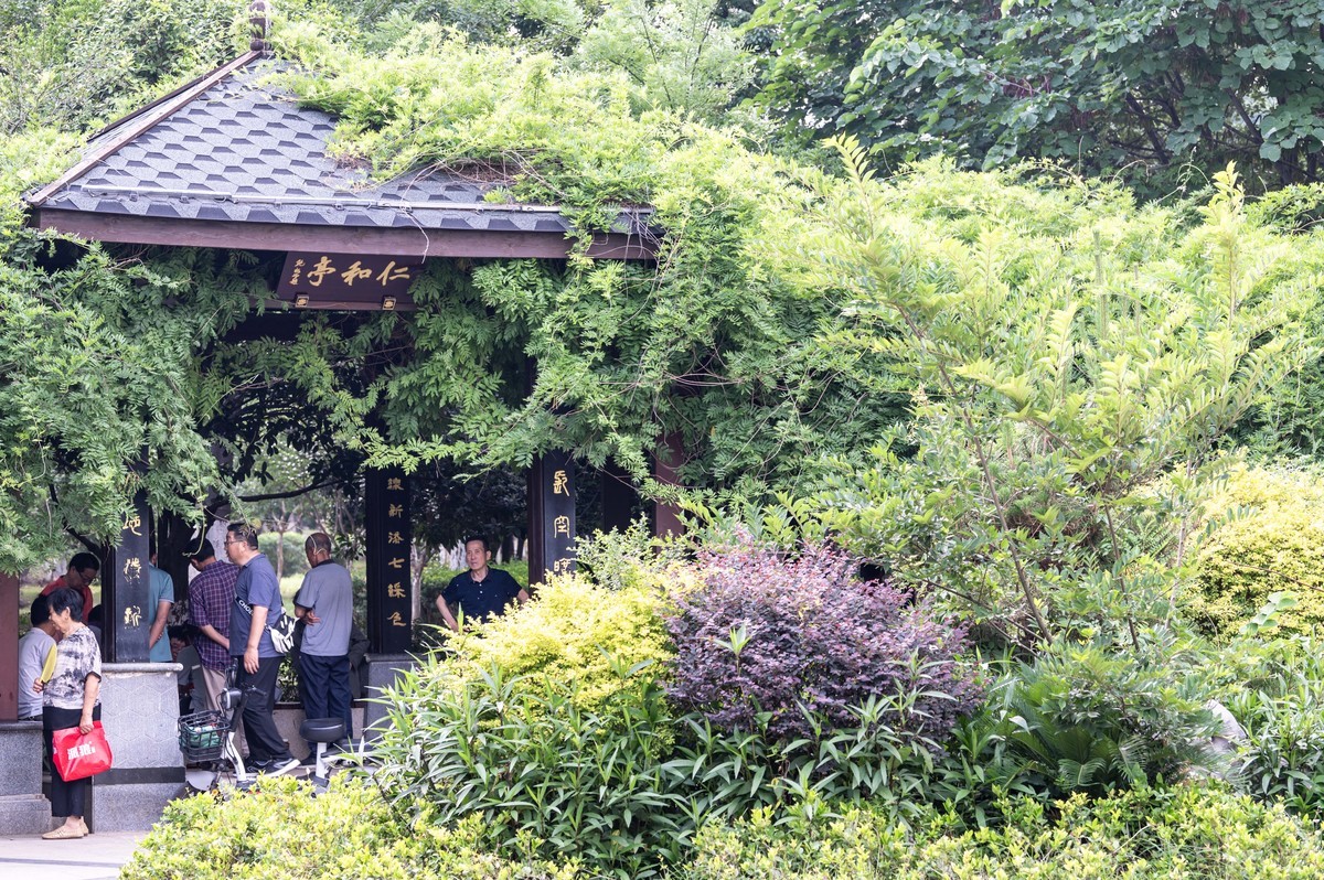 庐州印象（473）海棠公园