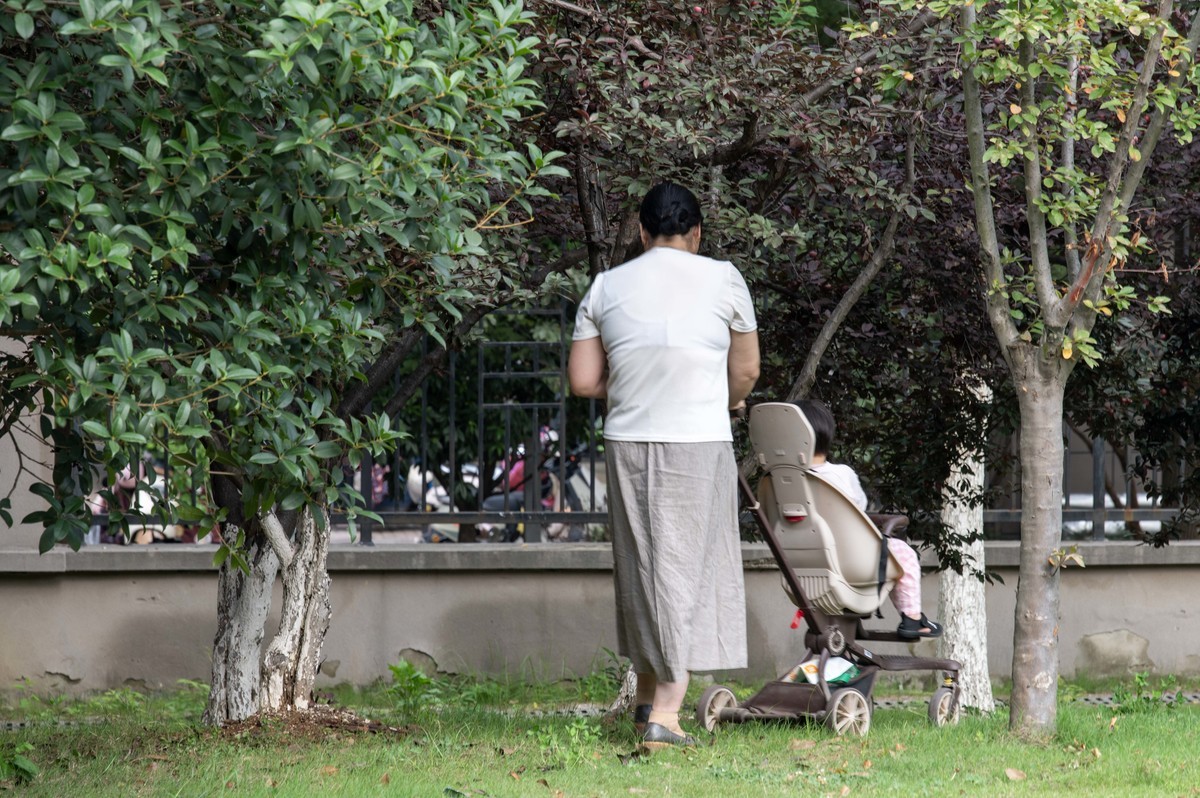 庐州印象（473）海棠公园