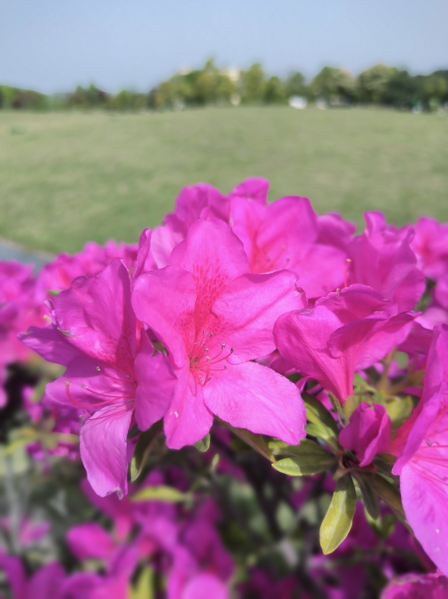 2025春夏之季 湘赣边（6）锰矿的故事还在继续