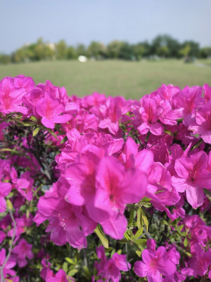 2025春夏之季 湘赣边（6）锰矿的故事还在继续