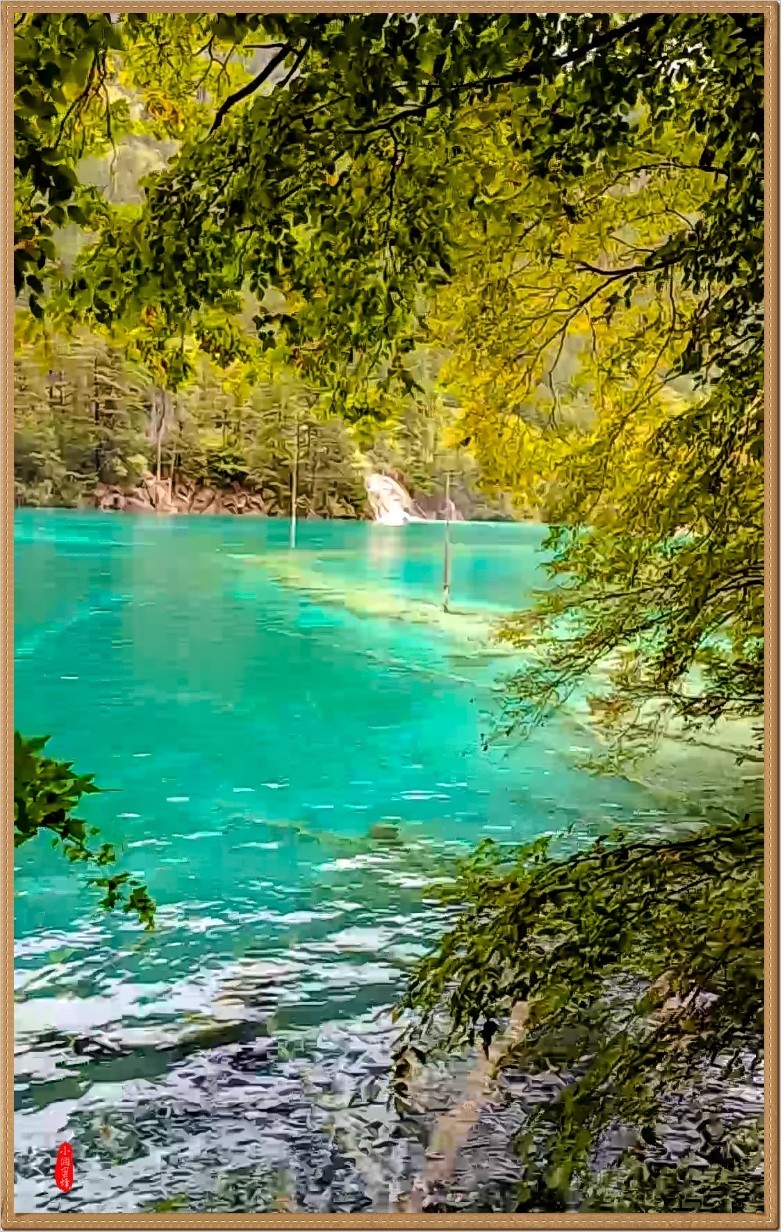 2022年九寨沟云拍-54